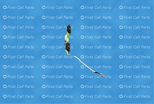 451213132131 back. Click to expand image