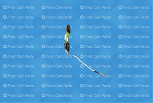 451213132131 back. Click to expand image